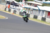 Fowlers 0828