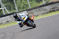 Fowlers 0754