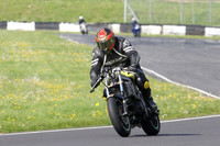 Fowlers 0257