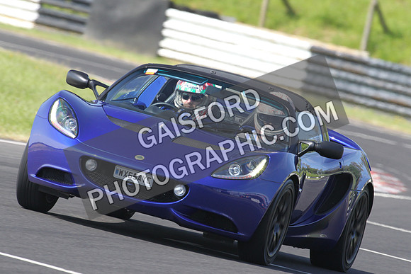 Lotus 0252
