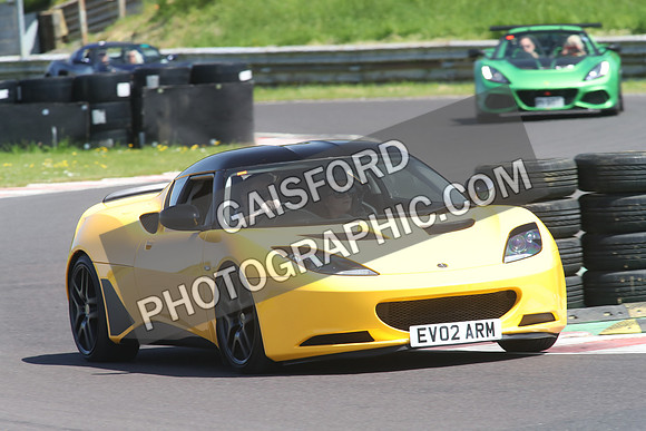 Lotus 1032
