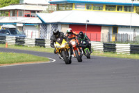 Fowlers 0091