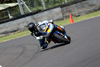 Fowlers 0781