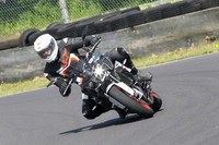 Fowlers 0710
