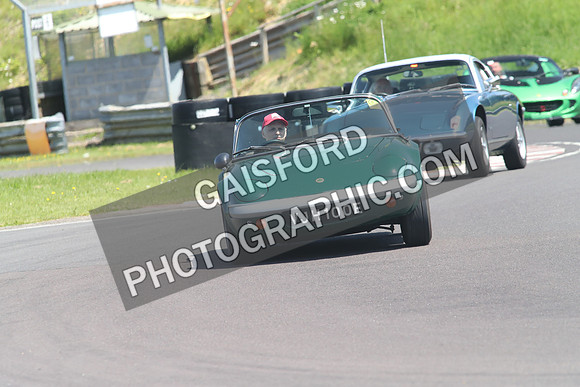 Lotus 1331