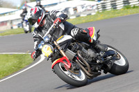 Fowlers 0462