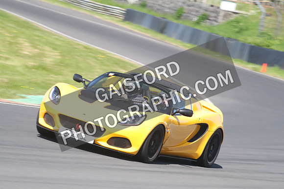 Lotus 2457