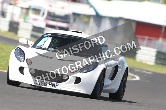 Lotus 0494