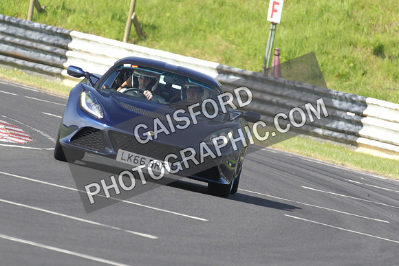 Lotus 0161