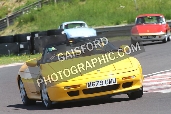 Lotus 1361