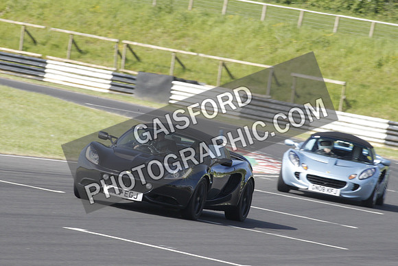 Lotus 0110