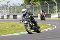 Fowlers 0780