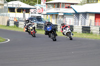 Fowlers 0062