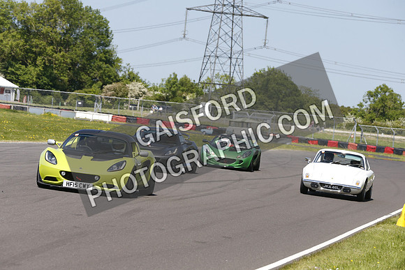 Lotus 2146
