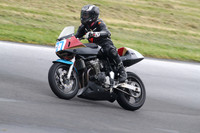 Fowlers 0779