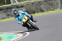 Fowlers 0557