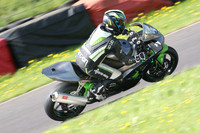 Fowlers 0878
