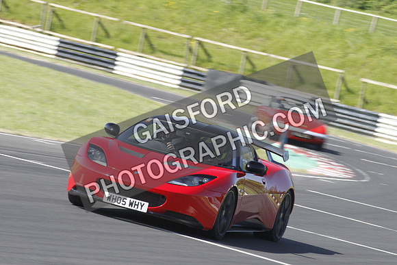 Lotus 0341