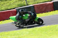 Fowlers 0873