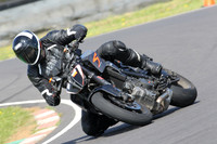 Fowlers 0578