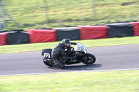 Fowlers 0335