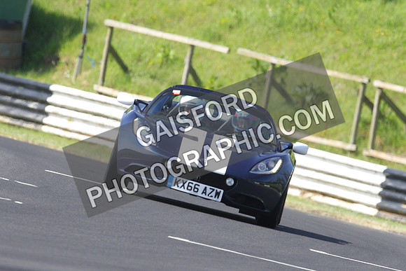 Lotus 0282