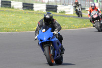 Fowlers 0272