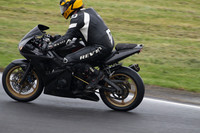 Fowlers 0875