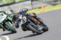 Fowlers 0413