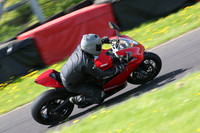 Fowlers 0993
