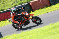 Fowlers 0889