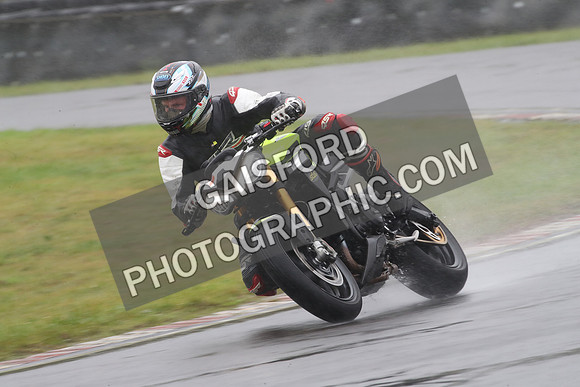 BIKES 0981