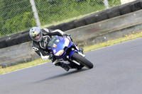 Fowlers 0496