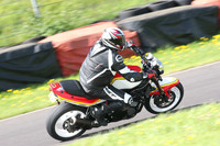 Fowlers 0857