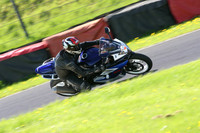 Fowlers 0987