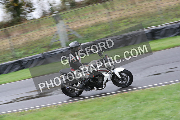 BIKES 0294