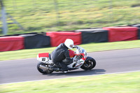 Fowlers 0336