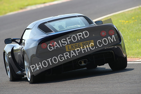 Lotus 0725