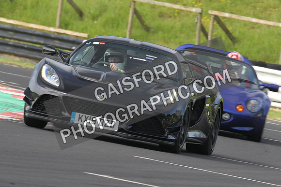 Lotus 0024