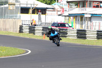 Fowlers 0013