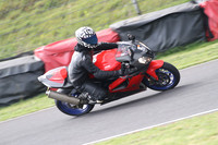 Fowlers 0665