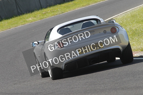 Lotus 2536