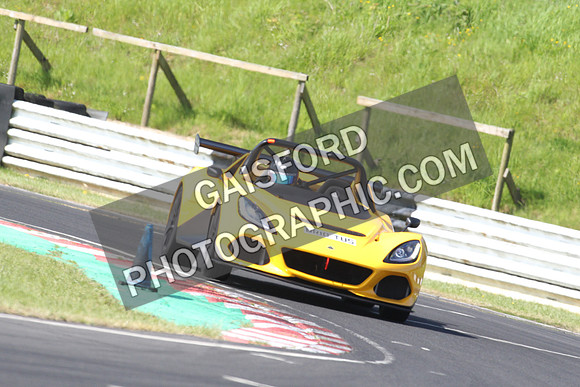 Lotus 0399