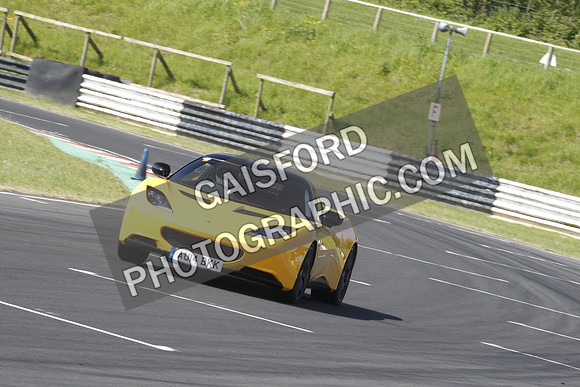 Lotus 0336