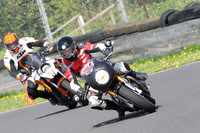 Fowlers 0798