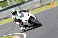 Fowlers 0479