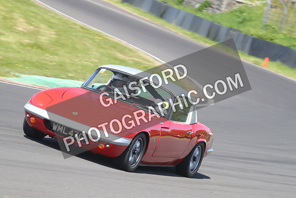Lotus 2464