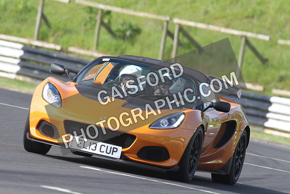 Lotus 0080