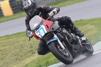 Fowlers 0262