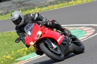 Fowlers 0593